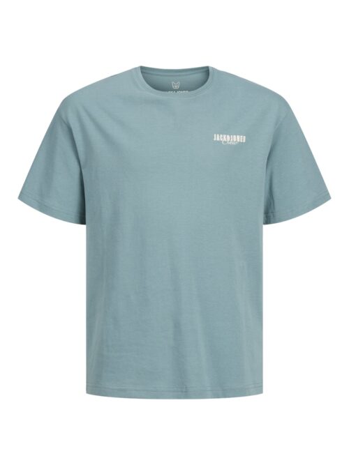 JACK & JONES JUNIOR JJSTYD LOOSE GRAPHIC TEE SS C