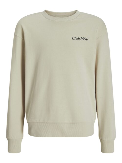 JACK & JONES JUNIOR JJEBRADLEY GRAPHIC SWEAT CREW.N JNR