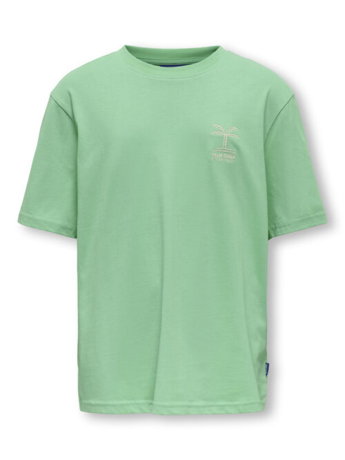ONLY & SONS KIDS OSJSUMMERLIFE S/S RLX PRINTED TEE J