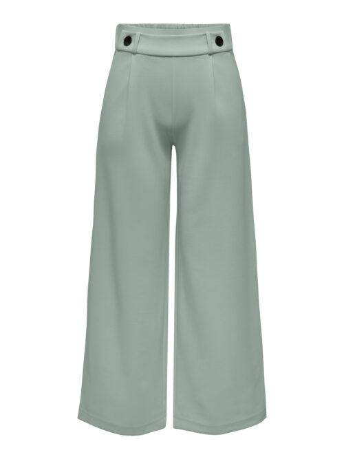 JDY JDYGEGGO LIFE NEW LONG PANT JRS NOO