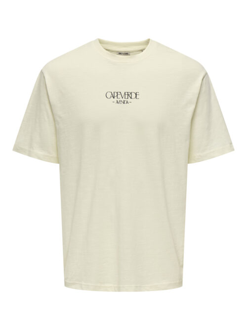 ONLY & SONS KIDS OSJLUIS PALM RLX SS TEE JRS