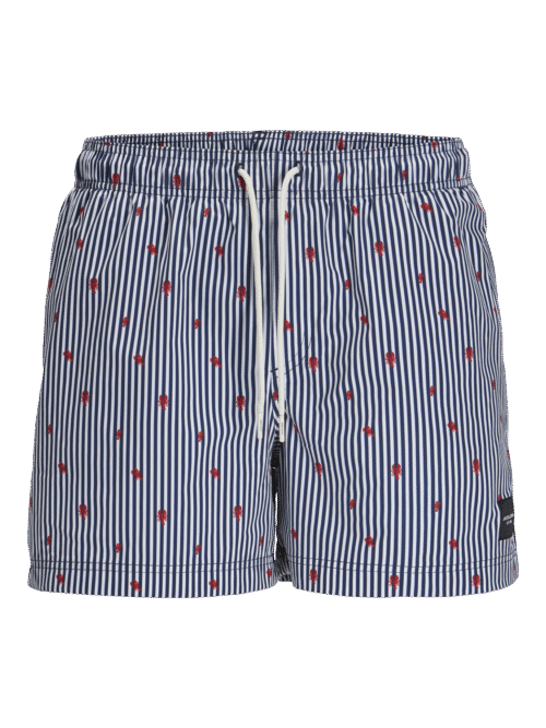 JACK & JONES JPSTMAUI JJSWIM MINI STRIPE AKM SN