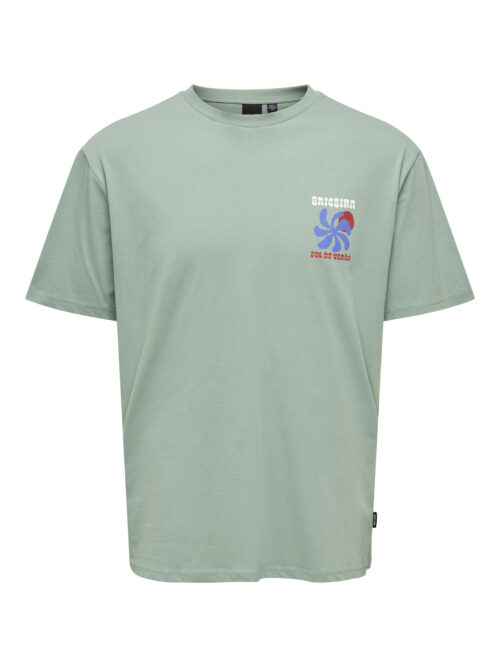 ONLY & SONS KIDS OSJKEANE RLX SS PRINTED TEE RT VD