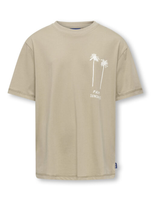 ONLY & SONS KIDS OSJMENES  LOOSE SS O-NECK JRS