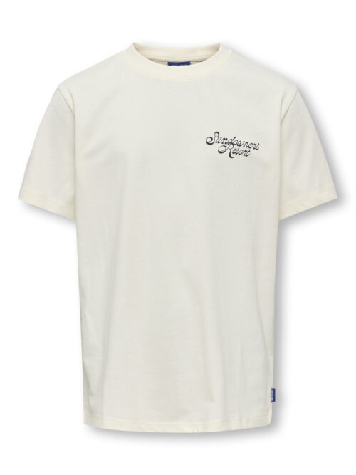 ONLY & SONS KIDS OSJJUNO LIFE REG SS TEE JRS