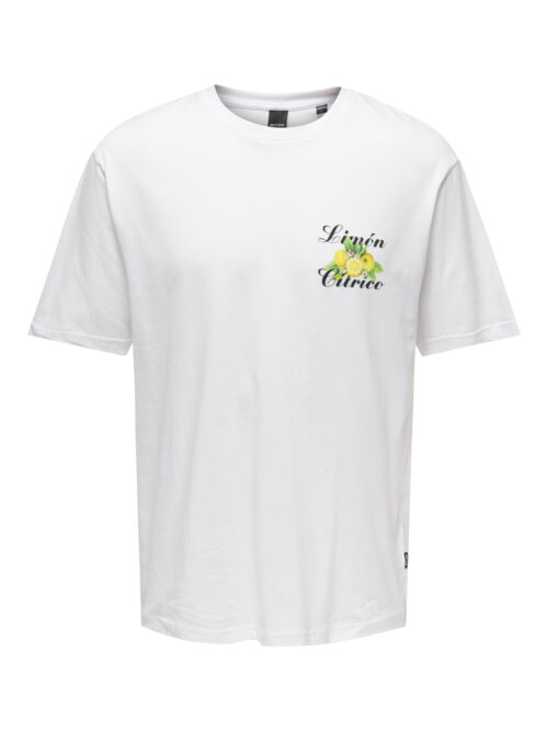 ONLY & SONS ONSKEANE RLX SS PRINT TEE NOOS
