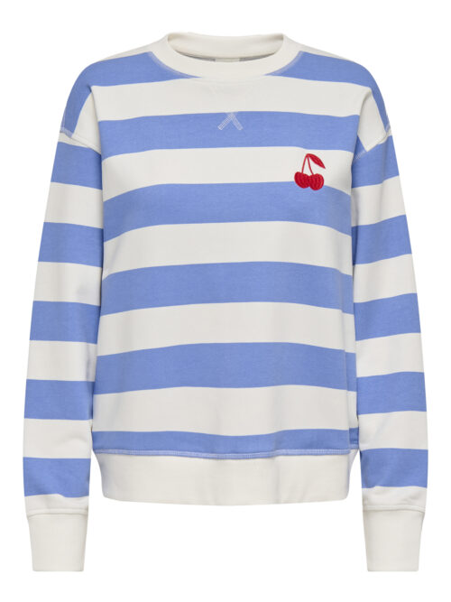 JDY JDYBETINA L/S EMBROIDERY SWEAT JRS