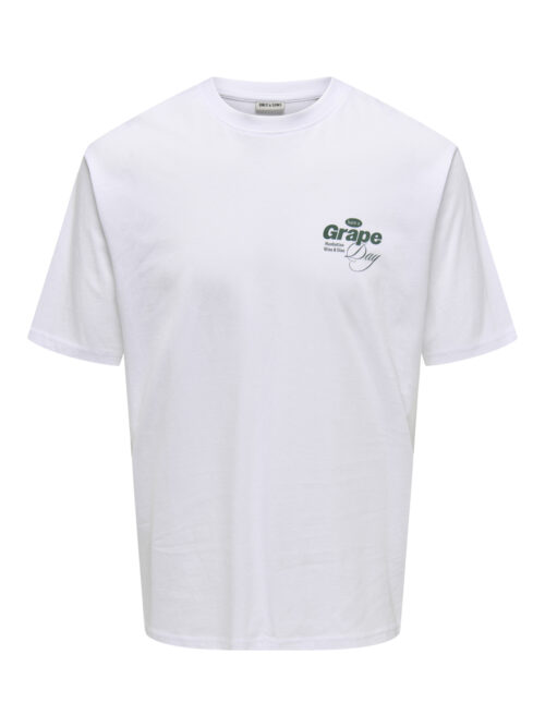 ONLY & SONS ONSALFRESCO RLX SS TEE