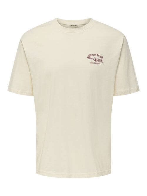 ONLY & SONS ONSALFRESCO RLX SS TEE