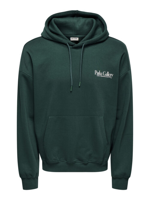 ONLY & SONS ONSGALLERY VTG HOODIE