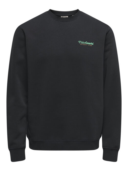 ONLY & SONS ONSTEN REG LS CREW