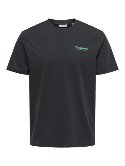 ONLY & SONS ONSTEN REG SS TEE