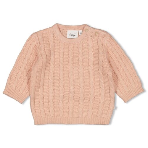 FEETJE Sweater gebreid - The Knits