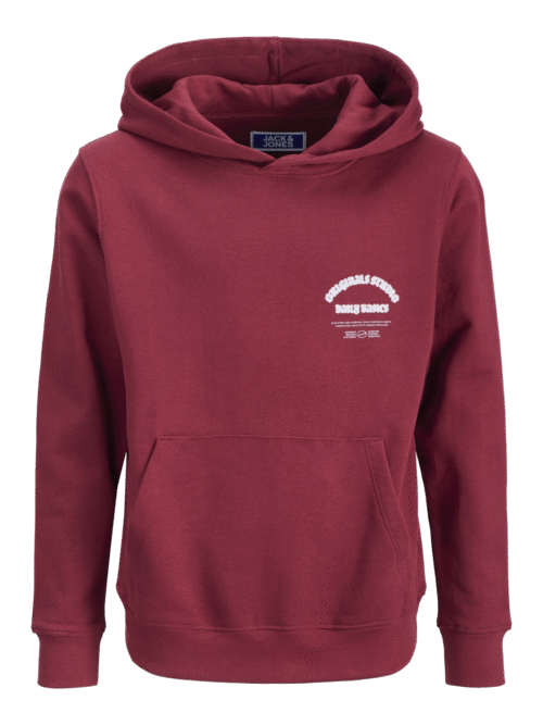 JACK & JONES JUNIOR JORMEADOWS SWEAT HOOD JNR