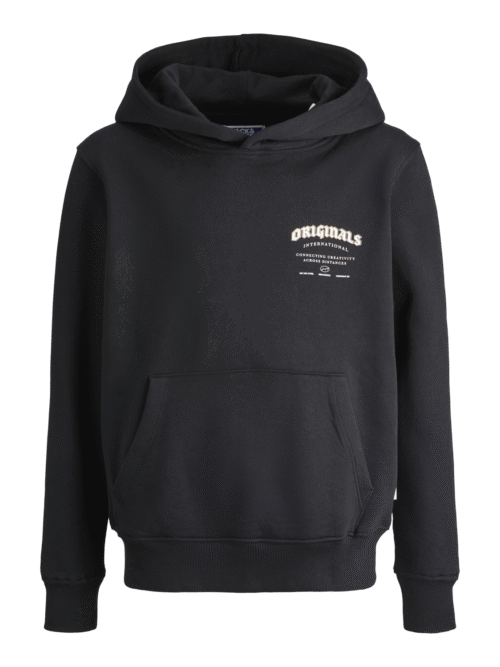 JACK & JONES JUNIOR JORMEADOWS SWEAT HOOD JNR