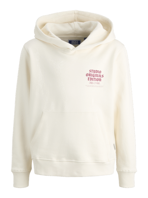 JACK & JONES JUNIOR JORMEADOWS SWEAT HOOD JNR