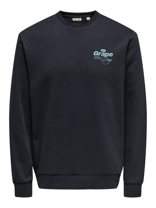ONLY & SONS ONSALFRESCO REG CREW NECK