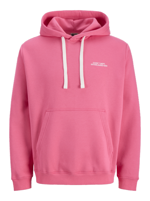 JACK & JONES JCOCOVER GRAPHIC HOOD LN