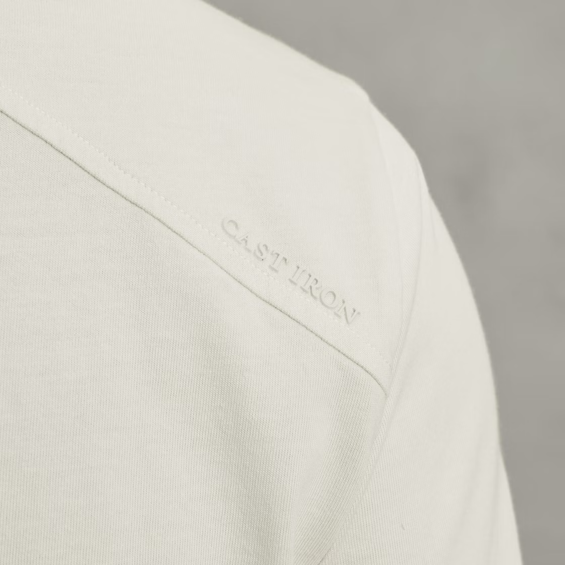 cast-iron-short-sleeve-r-neck-regular-fit-si-bp_bvkq_1ix8_t4l0cy