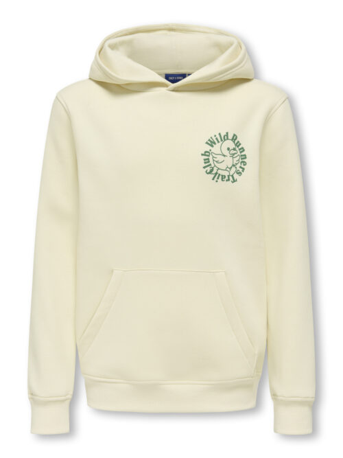 ONLY & SONS KIDS OSJDANIEL TEXT REG LS HOODIE SWT