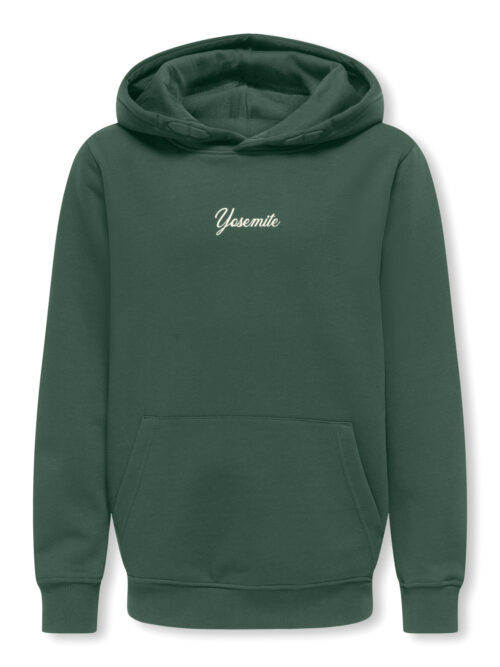 ONLY & SONS KIDS OSJHANS LIFE LS REG HOODIE SWT
